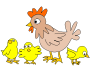 hen_with_three_chicken.png