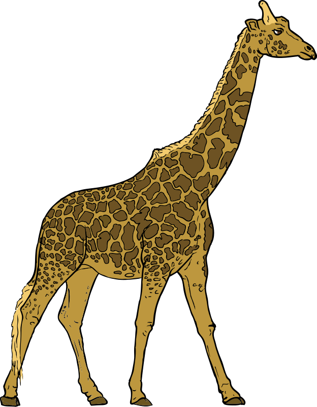 SteveLambert_Giraffe.png