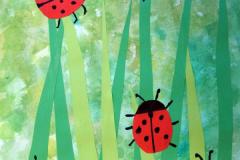 Louka s beruškami - 1. ročník