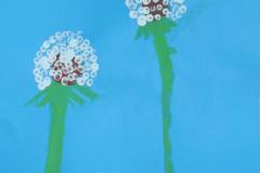 Odkvetlé pampelišky