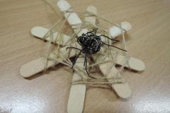 Pavouci na pavučině