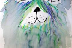 Pejskové a kočičky - 1. ročník