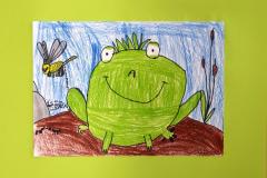 Žabky - 2. ročník