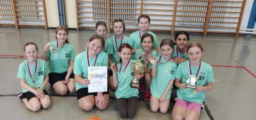 Vítězné družstvo ZŠ Bratří Čapků Úpice - okresní kolo ve vybíjené